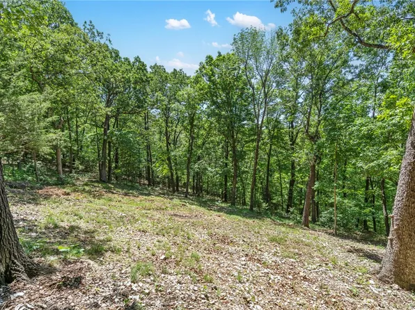 55 County Road 1081 #9, Eureka Springs, AR 72632