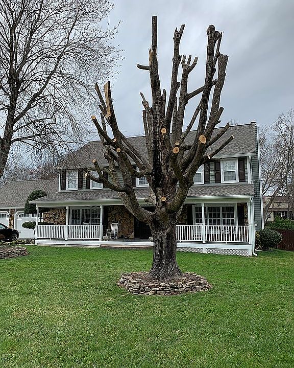 1st image of 11412 Rock Springs Dr