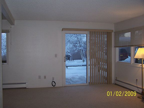 Lvg room patio door
