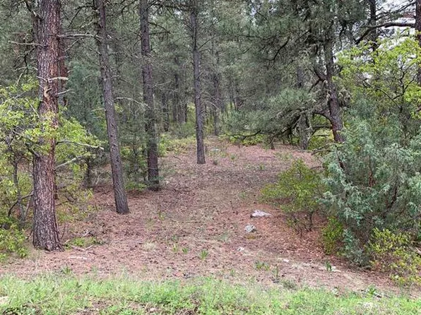 X ECHO LAKE ACCESS ESMT CO, Pagosa Springs, CO 81147