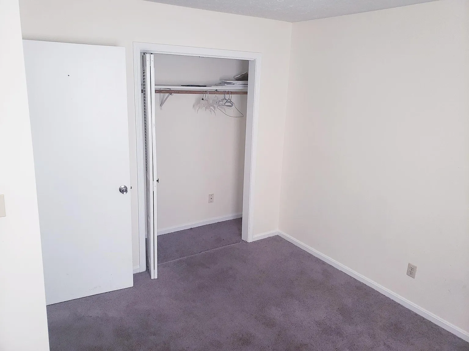 251 Shelby Ave — Photo 3
