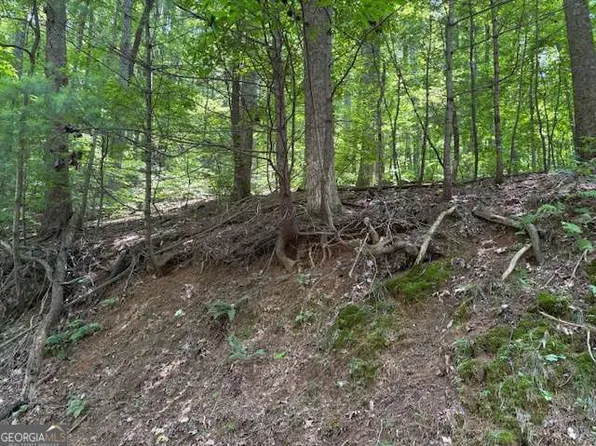 0 Mountain View Ct, Ellijay, GA 30536