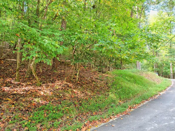 470 Navaho Way, Ellijay, GA 30540