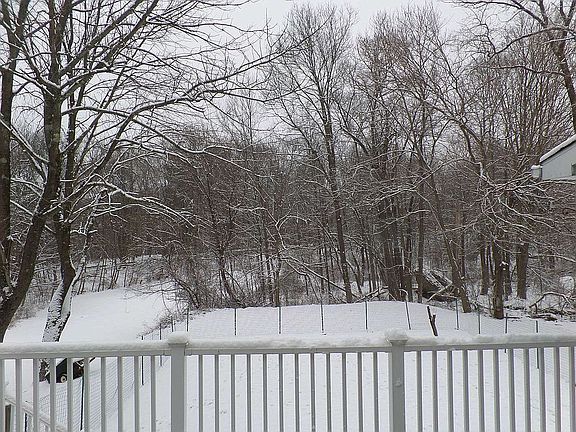 Winter from back deck