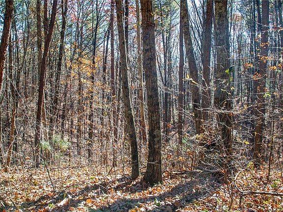 2nd image of 26 Waldrip Rd