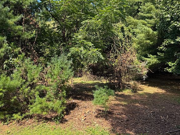 5th image of 5 Honeysuckle Ln