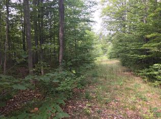 17657 Gaylord Rd, Vanderbilt, MI 49795