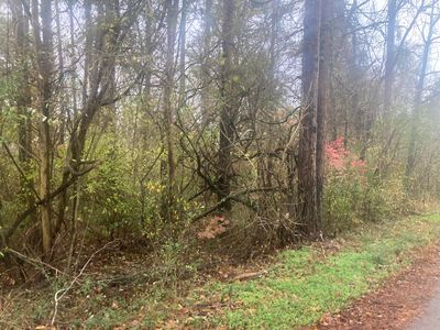 1056 Palisades Ct, Burnside, KY, 42519