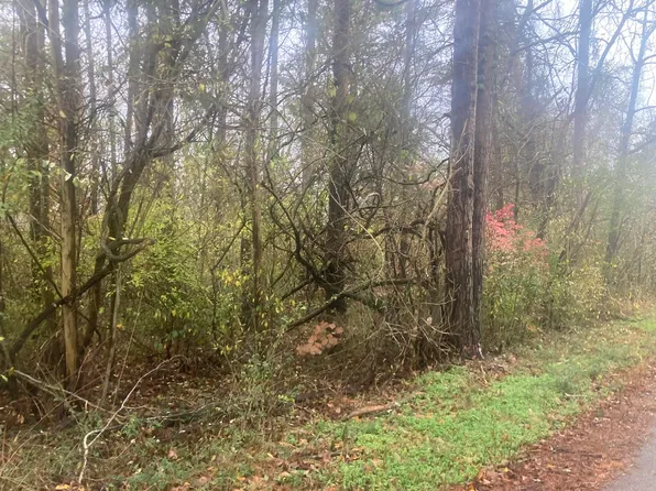 1056 Palisades Ct, Burnside, KY 42519