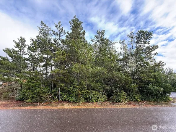 254 NE Olympic View Ave, Ocean Shores, WA 98569