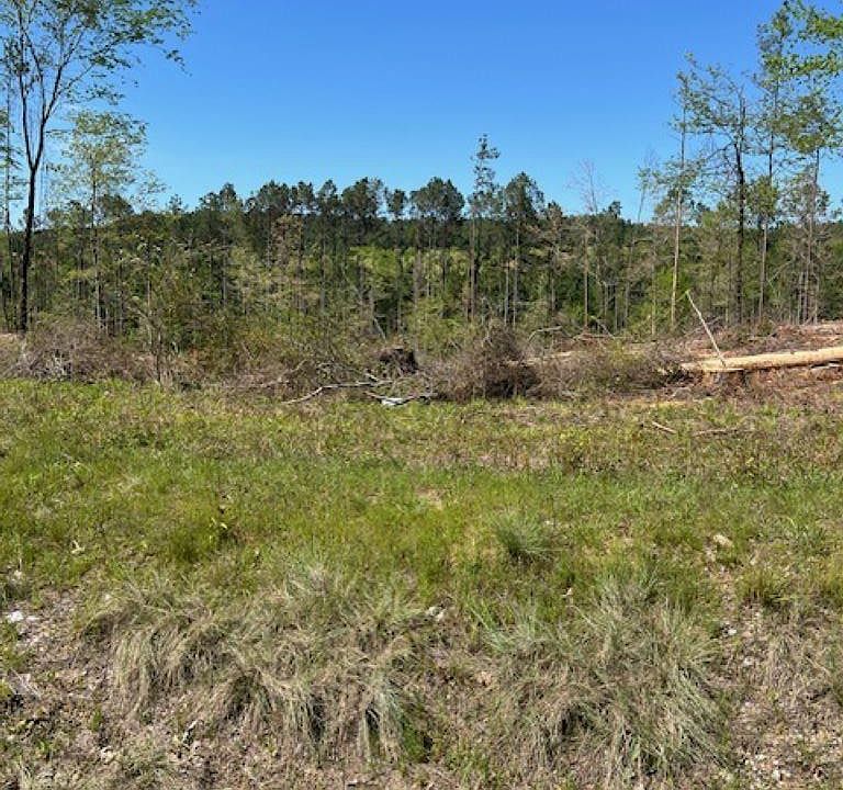 2nd image of Highway 84 Tract #C