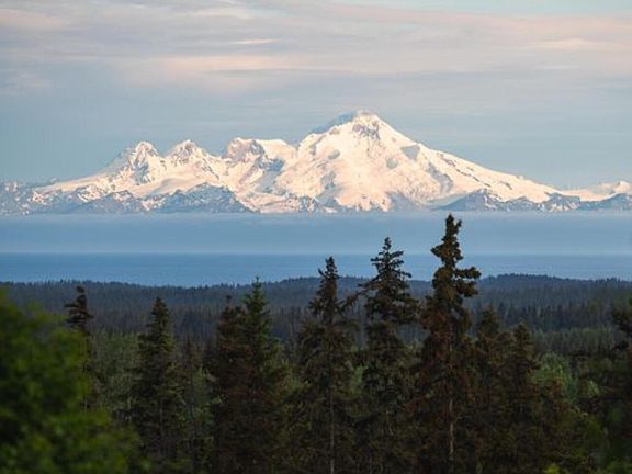 4th image of 67268 Endless View Loop