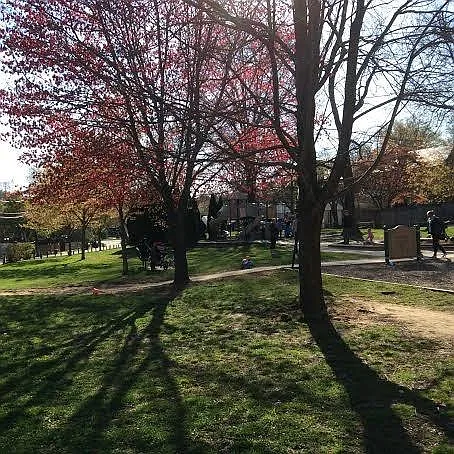 Backyard Park, View 2