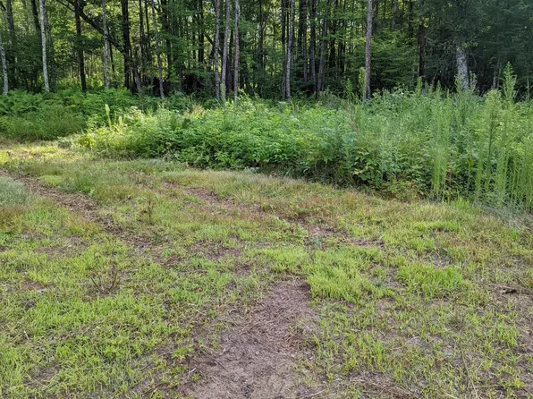 22803 Paulich Rd, Frederic, WI 54837