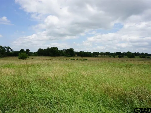 1 County Road 1313, Malakoff, TX 75148