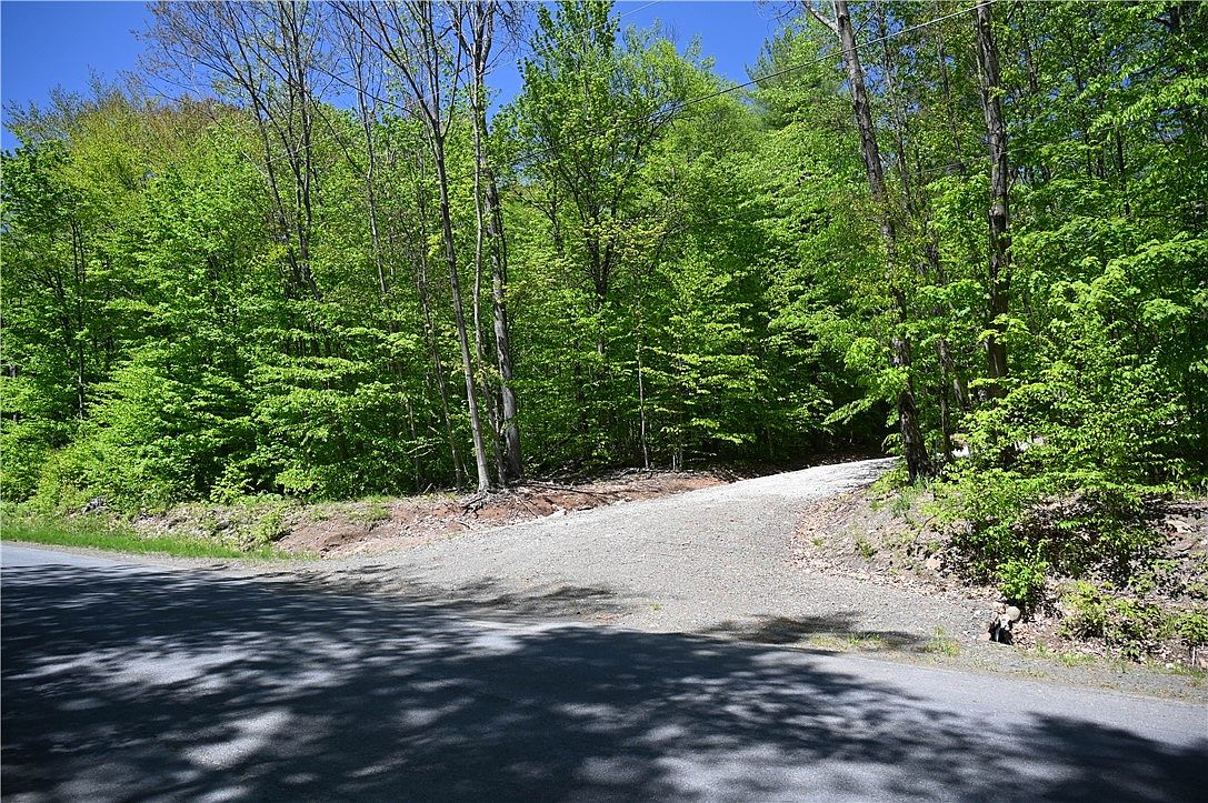 276 Starr Rd, Otego, NY 13825 Zillow