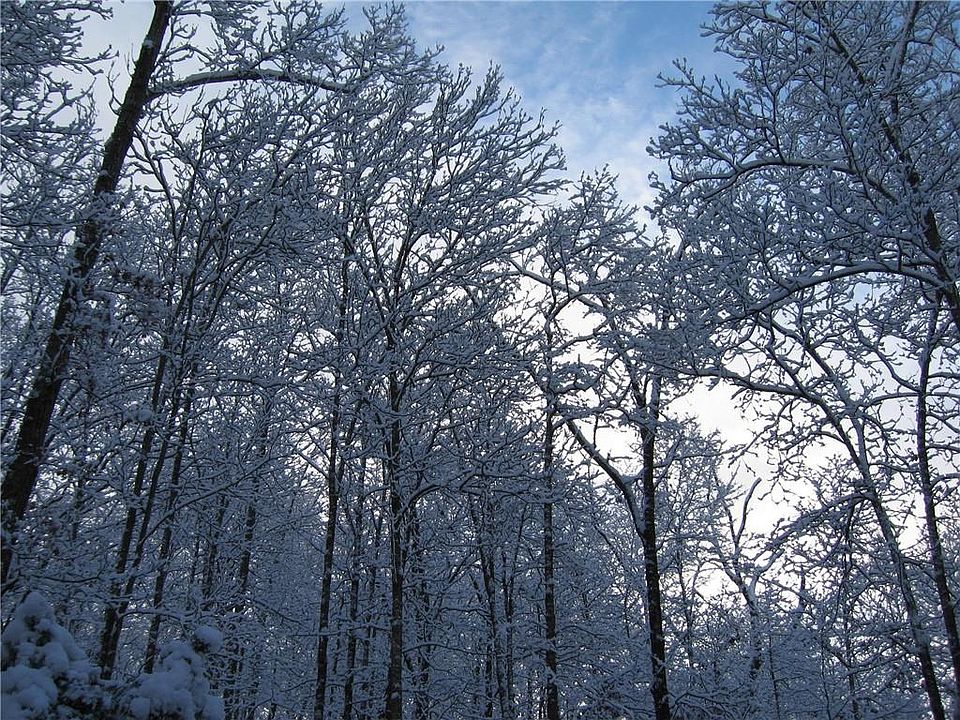 2nd image of 0 Ward Mountain Rd