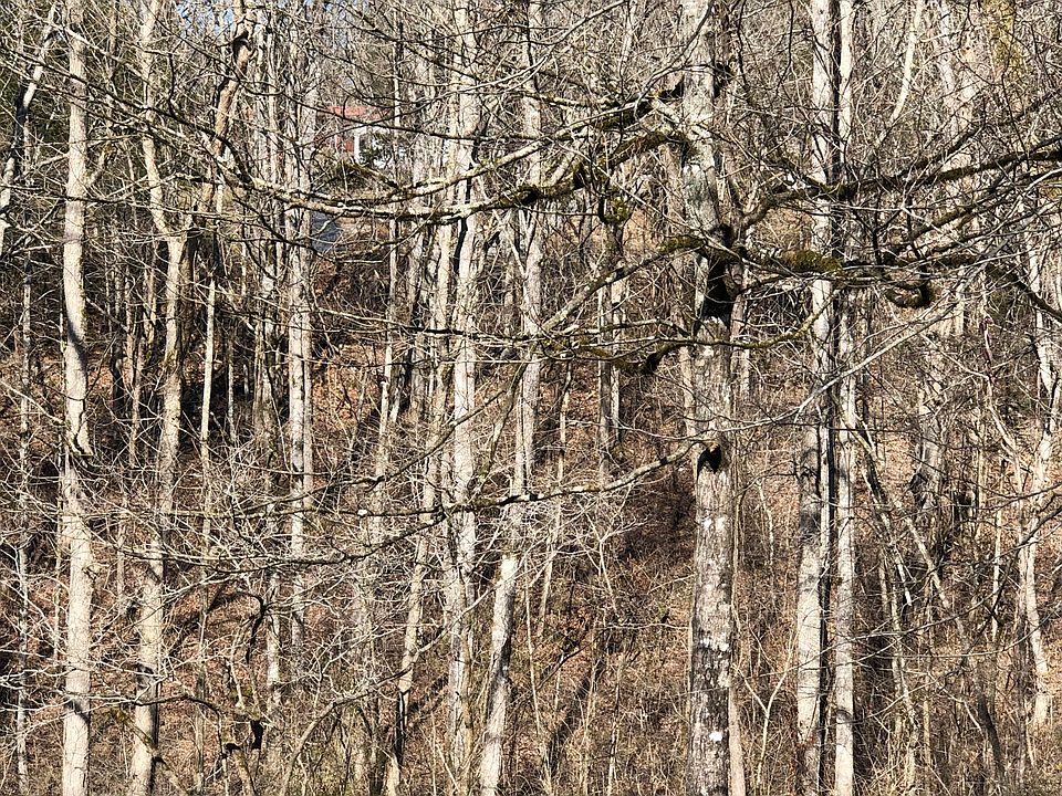 2nd image of Shawnee Dr