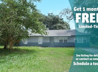 3833 Holly Ct, Mount Dora, FL 32757