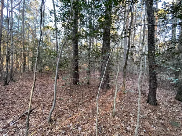 1053 Loblolly Drive, Vass, NC 28394