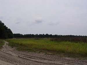 2nd image of 6359 Bullfrog Dr