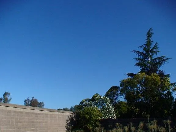 3887 Mesa Verde Ct — Photo 33