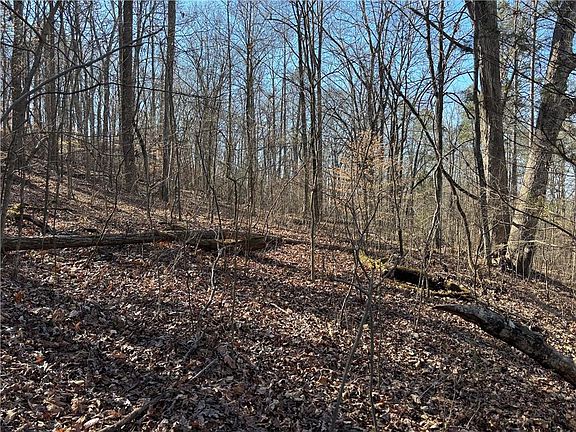 5th image of 0 Gardner Springs Rd