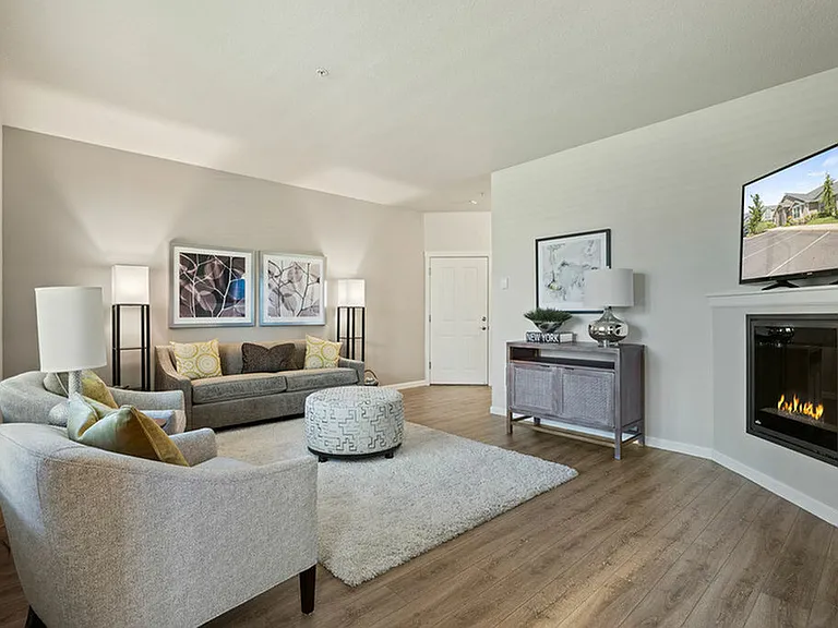Living Room with Fireplace
