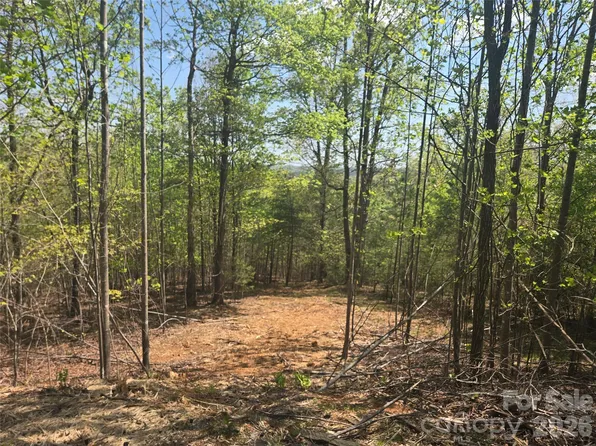 LOT 13 Back Hollow Dr, Lake Lure, NC 28746