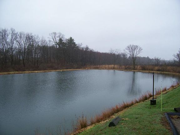 pond