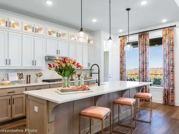 1733 San Donato Lane McLendon, Rockwall, TX 75032