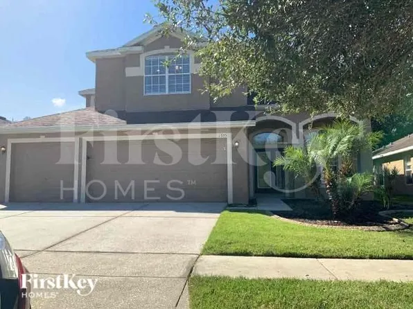1335 Emerald Hill Way, Valrico, FL 33594