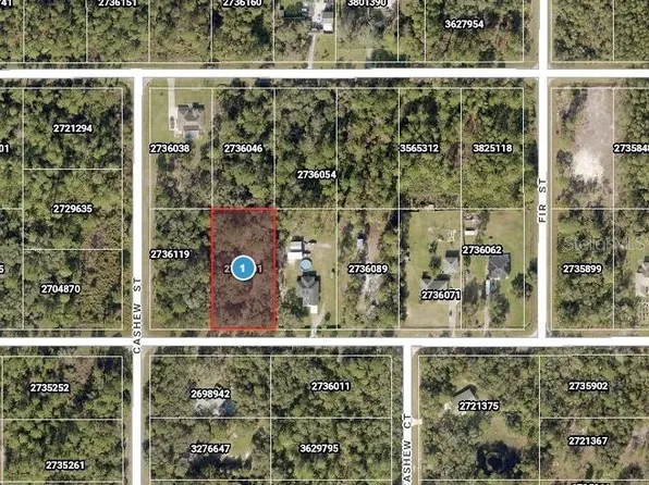 Saffron Avenue Lot #11, Eustis, FL 32736