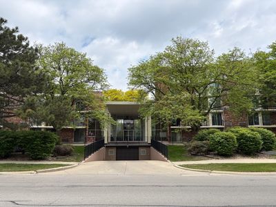 1150 E Jackson St APT 1K, Lombard, IL, 60148