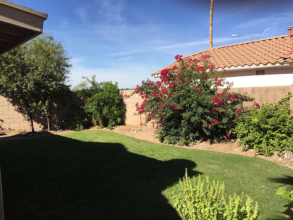 1st image of 11678 W Yucca Ct