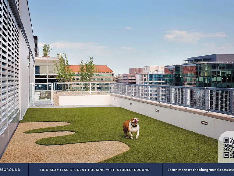 Building's Pet area