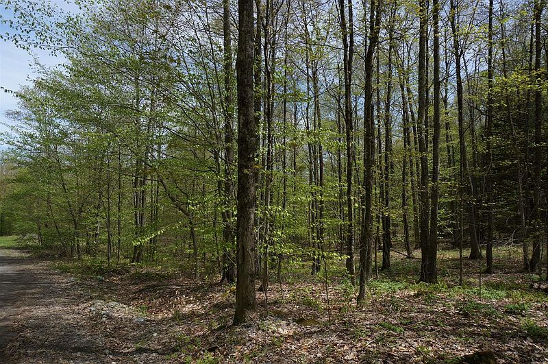 4th image of 0 PATTERSON HILL Road