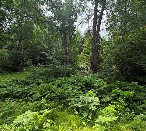 3rd image of 20 Acres 5th Ave