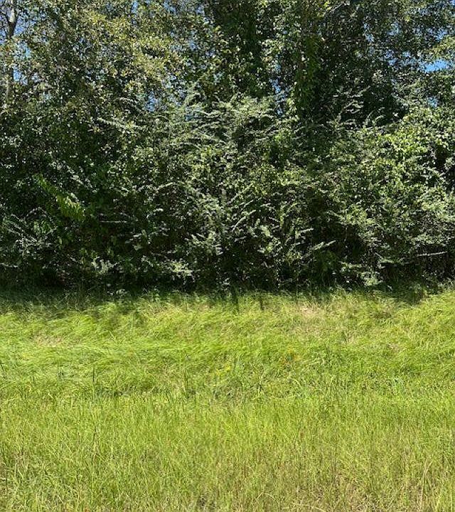 2nd image of 10563 Chelsea Rd #1
