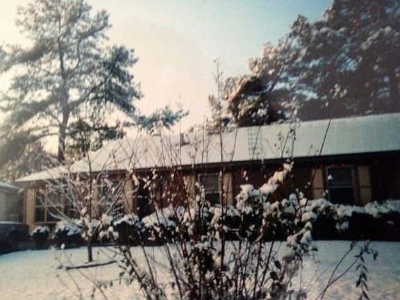 Wonderful winter snowfall