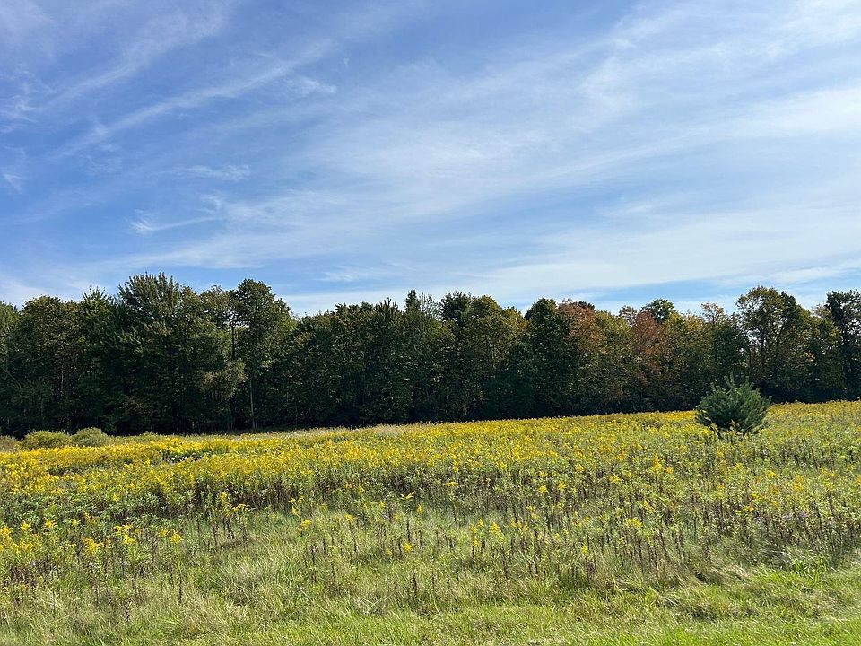 2nd image of 0 Regan Rd