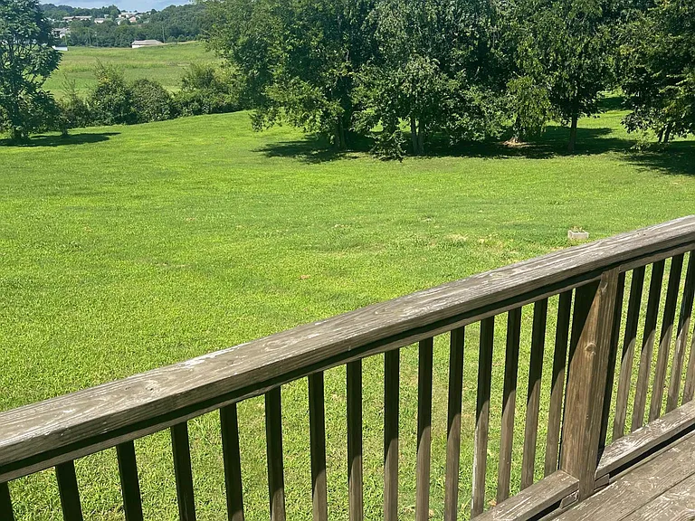 Back Deck/ Back Yard
