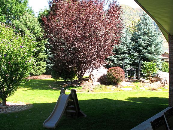 Park-like Fully Fenced Yard