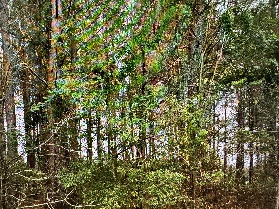 2nd image of 60 Olin Goode Dr