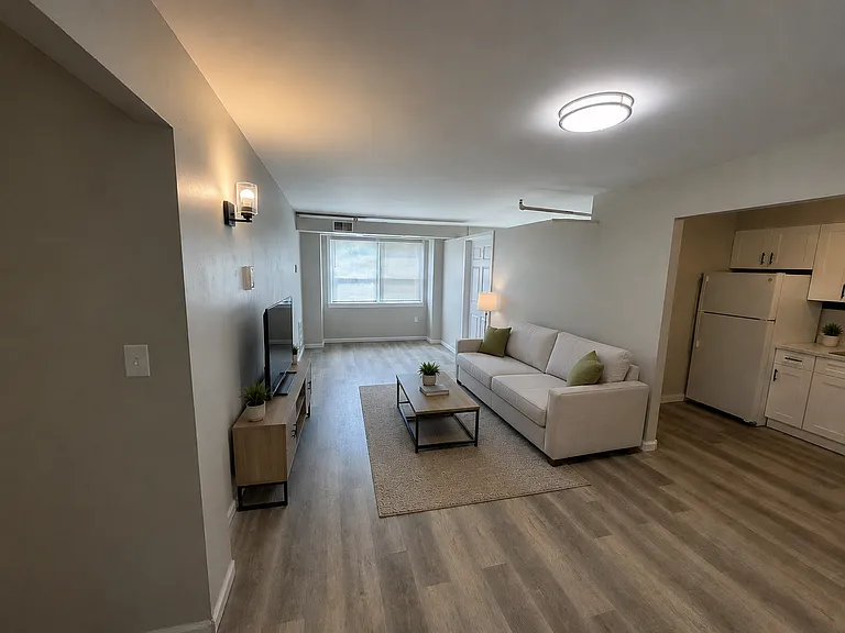 Living Room (Virtually Staged)
