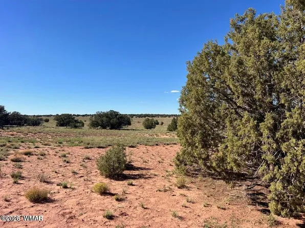 4 N 9027th, Concho, AZ 85924