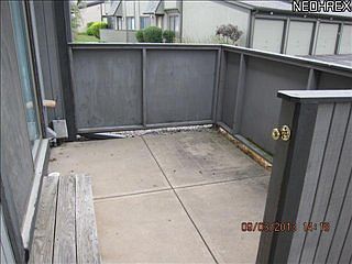 3rd image of 34942 N Turtle Trl APT B