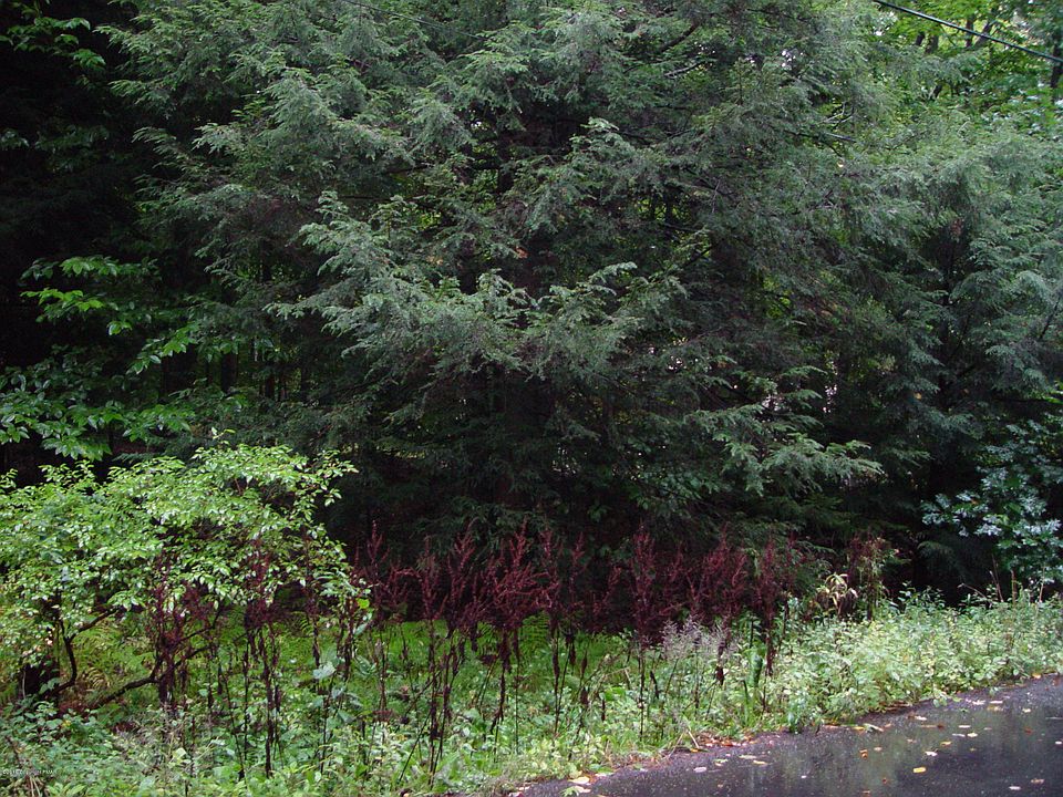 2nd image of Onocop Dr