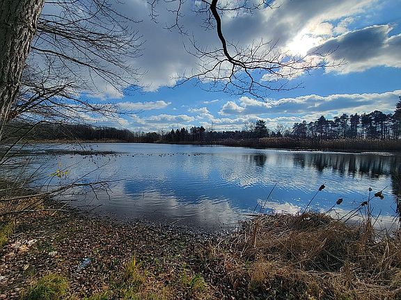 3rd image of 5121 Twin Lakes Dr