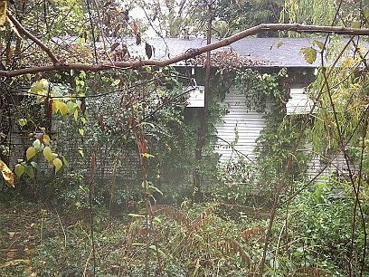 1st image of 110 Drago St